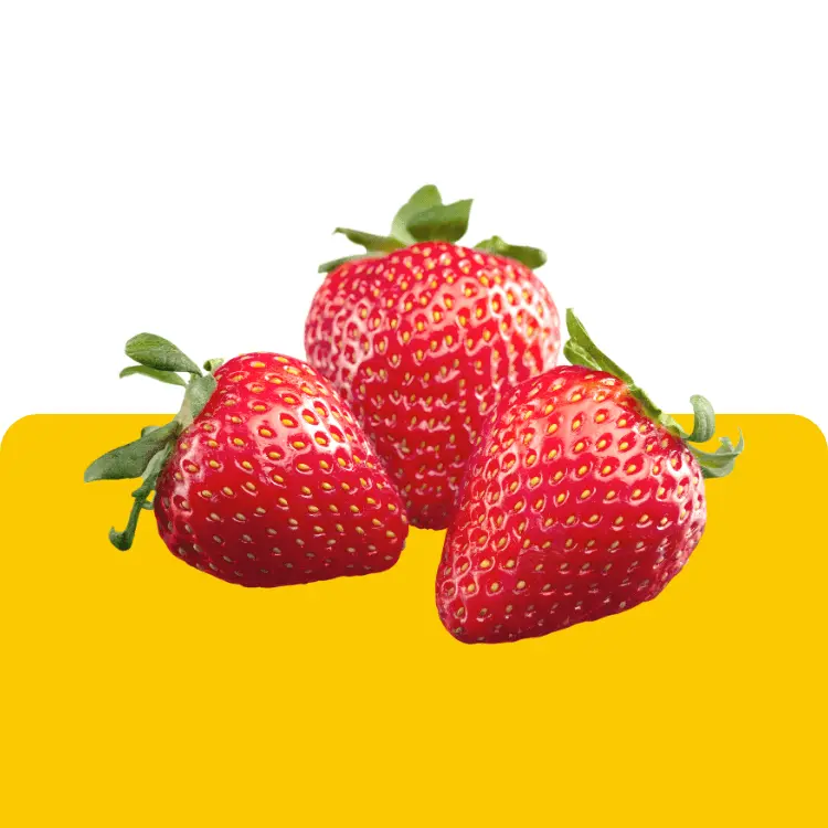 falaq fruits foods importa export strawberry