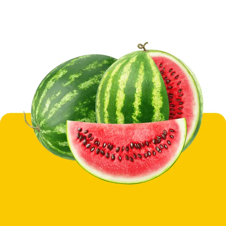 falaq fruits foods importa export watermelon