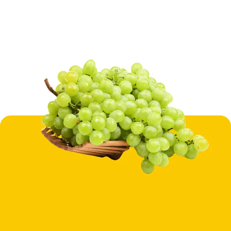 falaq fruits foods importa export grapes